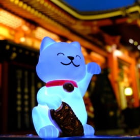 Dhink | Medium Colour Changing LED Night Light | White & Gold Lucky Cat