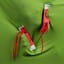 Sliwils | Fabric Shoelaces | Neon Coral Pink | 140cm