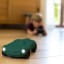 KIDYWOLF | KIDYCAR Remote Control Car with Lights | Green