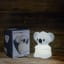 KIDYWOLF | KIDYNIGHT Soft Touch Rechargeable Night Light | Koala