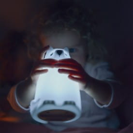 KIDYWOLF | KIDYNIGHT Soft Touch Rechargeable Night Light | Wolf