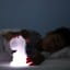 Dhink | Rechargeable Medium Colour Changing LED Night Light with USB Cable | White Dinosaur