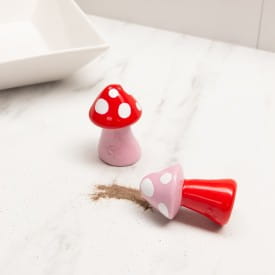 Helio Ferretti | Salt & Pepper Shaker Set | Mushrooms | Red & Pink