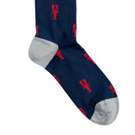 Billy Brown Socks | Men's Lobster Socks | Blue & Red