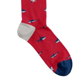 Billy Brown Socks | Men's Shark Socks | Red & Blue