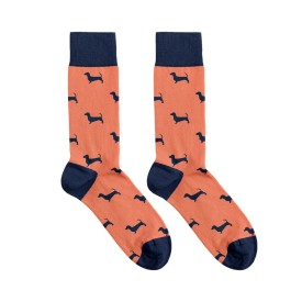 Billy Brown Socks | Men's Sausage Dog Socks | Peach & Blue