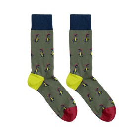 Billy Brown Socks | Men's Dinosaur Socks | Green & Red