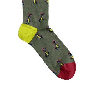 Billy Brown Socks | Men's Dinosaur Socks | Green & Red