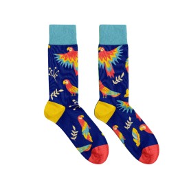 Billy Brown Socks | Women's Parrot Socks | Blue & Yellow