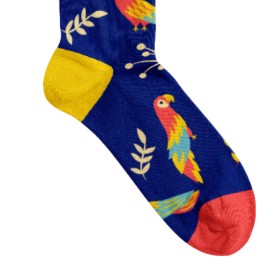 Billy Brown Socks | Women's Parrot Socks | Blue & Yellow