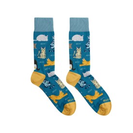 Billy Brown Socks | Women's Playing Cat Socks | Blue & Yellow