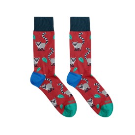 Billy Brown Socks | Women's Lemur Socks | Red & Grey