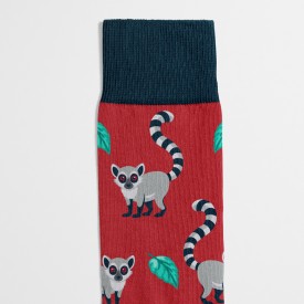 Billy Brown Socks | Women's Lemur Socks | Red & Grey