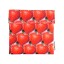 Helio Ferretti | Anti Stain Snack Bag | Strawberry