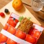 Helio Ferretti | Anti Stain Snack Bag | Strawberry