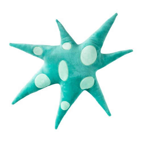 Helio Ferretti | Polar Star Cushion | Green