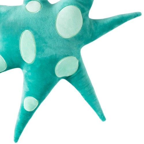 Helio Ferretti | Polar Star Cushion | Green