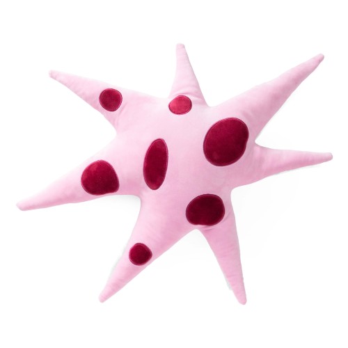 Helio Ferretti | Polar Star Cushion | Pink