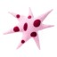 Helio Ferretti | Polar Star Cushion | Pink