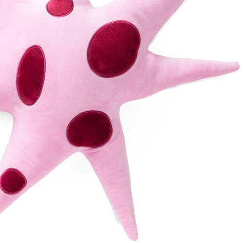 Helio Ferretti | Polar Star Cushion | Pink
