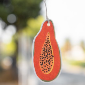 Helio Ferretti | Air Freshener | Passion Fruit