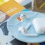 Helio Ferretti | Trinket Tray | Napping Cat | Light Blue