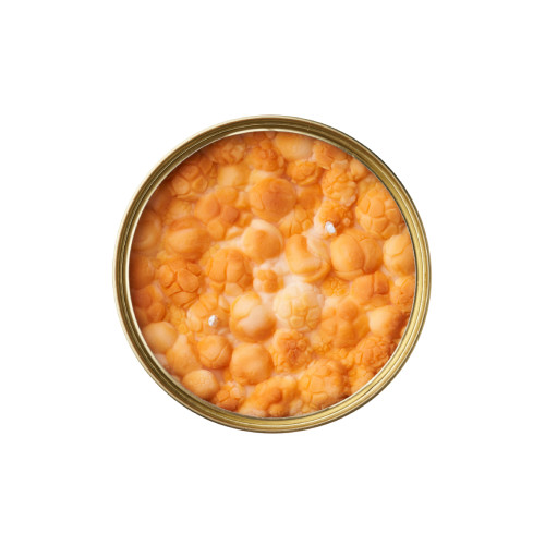 CandleCan | Caramel Popcorn | Popcorn Scented
