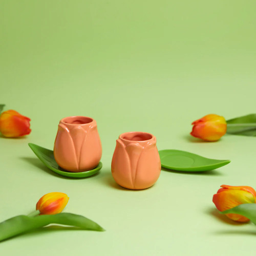 Balvi | Tulip Espresso Cup & Saucer | Pink | Set of 2