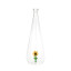 Balvi | Botanical Glass Bottle | Sunflower | 1L