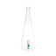 Balvi | Botanical Glass Bottle | Tulip | 1L