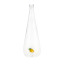 Balvi | Botanical Glass Bottle | Lemon | 1L