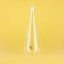 Balvi | Botanical Glass Bottle | Lemon | 1L