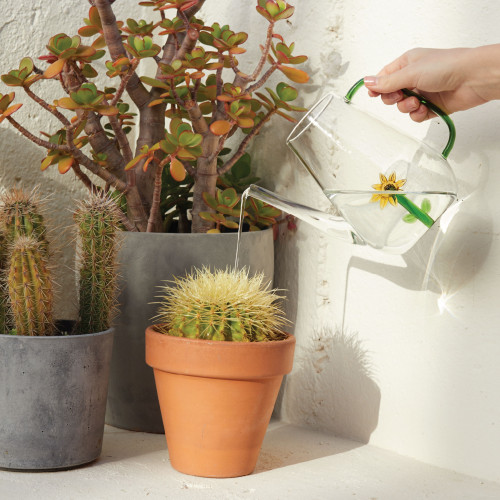Balvi | Botanical Glass Watering Can | Sunflower | 1L