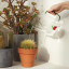 Balvi | Botanical Glass Watering Can | Cherries | 1L