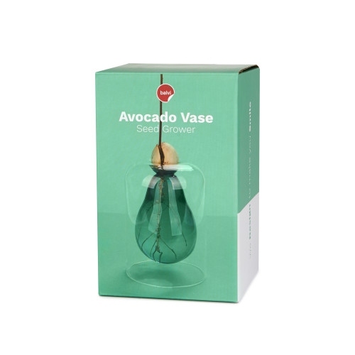 Balvi | Glass Seed Grower | Avocado