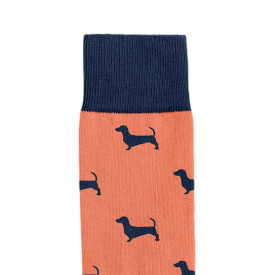 Billy Brown | Women's Sausage Dog Socks
