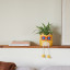 Balvi | Cool Cat Plant Pot | Yellow | 16cm Balvi | Cool Cat Plant Pot | Yellow | 16cm