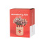 Balvi | Jar Vase | Strawberry Jam | 13cm Balvi | Jar Vase | Strawberry Jam | 13cm