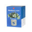 Balvi | Jar Vase | Blueberry Jam | 13cm Balvi | Jar Vase | Blueberry Jam | 13cm
