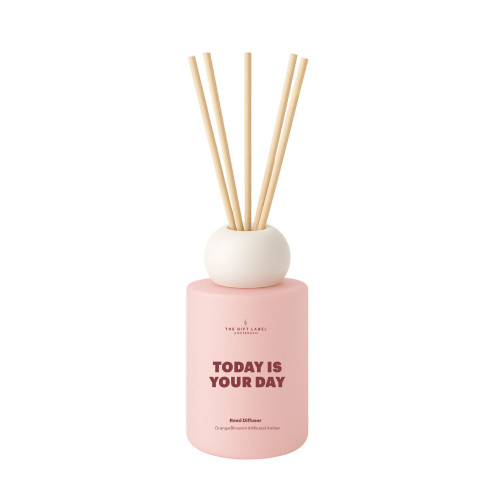 The Gift Label | Frosted Reed Diffuser | Today is Your Day | Orange Blossom & Mineral Amber | 100ml The Gift Label | Frosted Reed Diffuser | Today is Your Day | Orange Blossom & Mineral Amber | 100ml