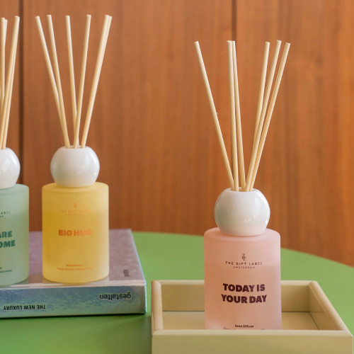 The Gift Label | Frosted Reed Diffuser | Today is Your Day | Orange Blossom & Mineral Amber | 100ml The Gift Label | Frosted Reed Diffuser | Today is Your Day | Orange Blossom & Mineral Amber | 100ml