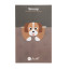 Balvi | Macnettic Bookmark | Beagle Dog Balvi | Macnettic Bookmark | Beagle Dog