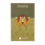 Balvi | Macnettic Bookmark | Triceratops