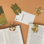 Balvi | Macnettic Bookmark | T-Rex