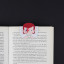 Balvi | Macnettic Bookmark | Cosmic Chameleon Balvi | Macnettic Bookmark | Cosmic Chameleon