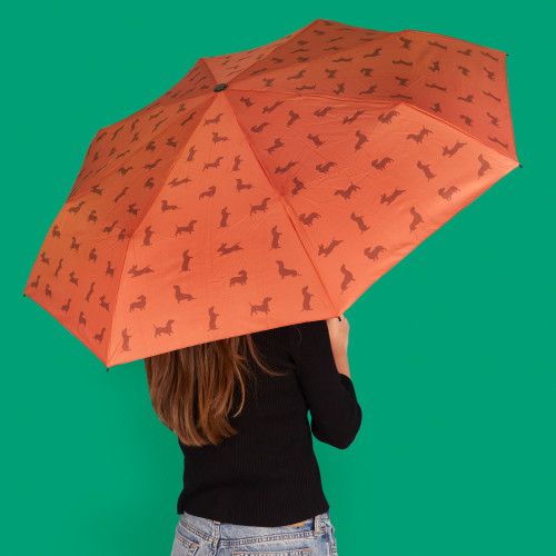Umbrella | Festive Dachshund | Brown