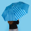 Umbrella | Whale