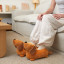 Dachshund Slippers | Brown | S/M