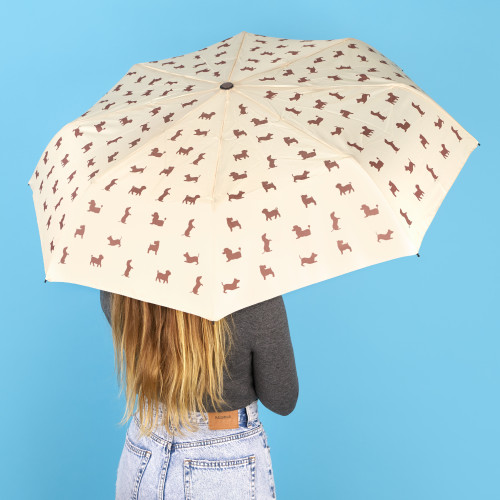 Umbrella | Pug
