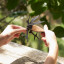 Balvi | Salmon Multi-Tool Balvi | Salmon Multi-Tool
